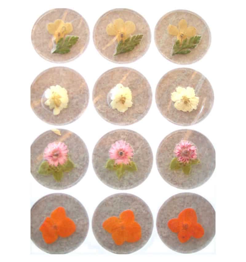 12 Fiori secchi - Nail Art